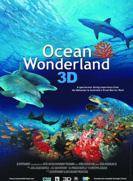 دانلود فیلم Ocean Wonderland / اقیانوس شگفت انگیز