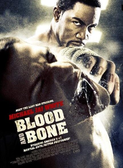 دانلود فیلم Blood and Bone / خون و استخوان