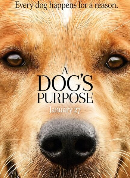 دانلود فیلم A Dog’s Purpose / هدف یک سگ