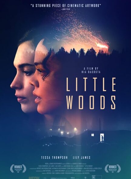 دانلود فیلم Little Woods / جنگل کوچک