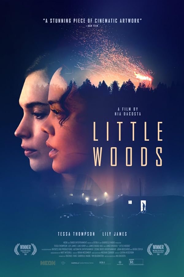 دانلود فیلم Little Woods / جنگل کوچک