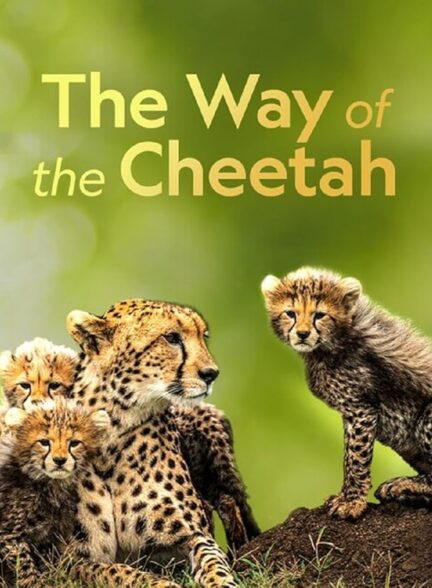 دانلود The Way of the Cheetah / روش چیتا