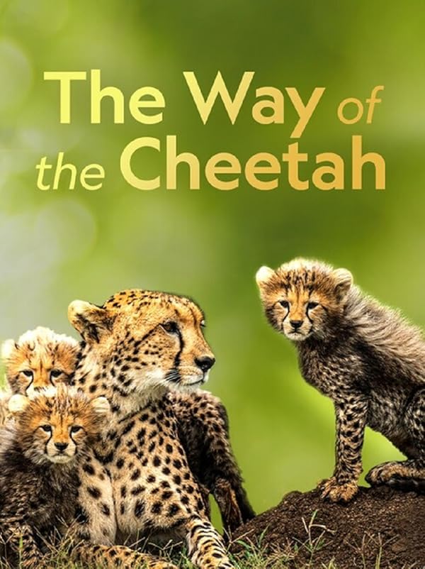 دانلود The Way of the Cheetah / روش چیتا