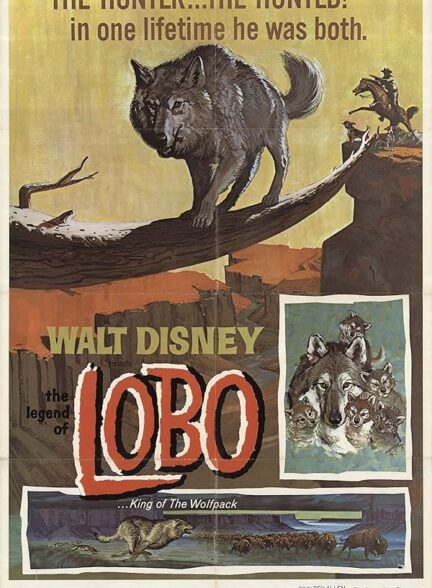 دانلود فیلم The Legend of Lobo / افسانهٔ لوبو