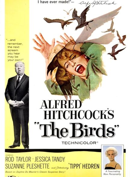 دانلود فیلم The Birds / پرندگان