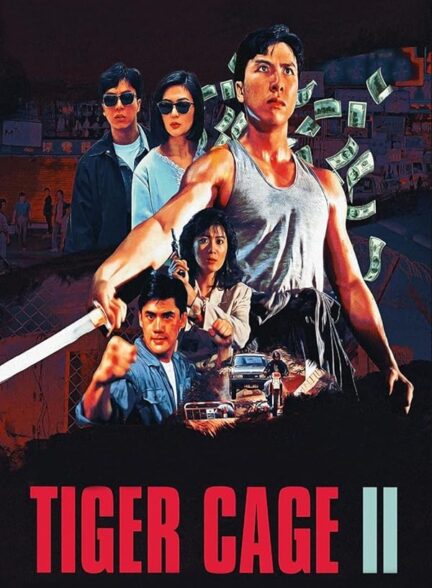 دانلود فیلم Tiger Cage II / قفس ببر ۲