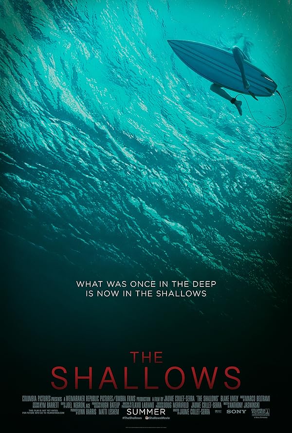 دانلود فیلم The Shallows / آب‌های کم‌عمق